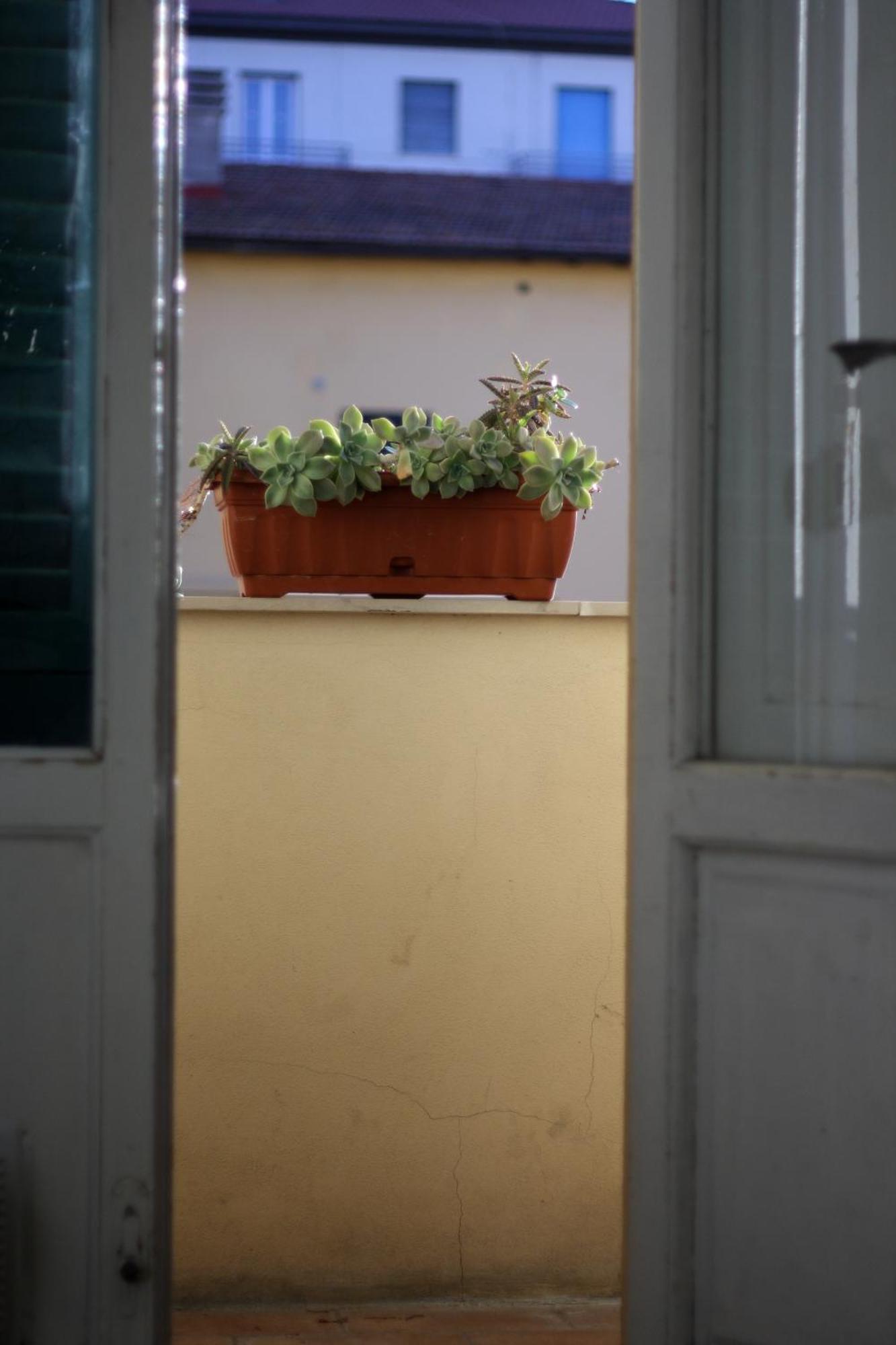 A Due Passi Dal Treno Apartment Pisa Ngoại thất bức ảnh